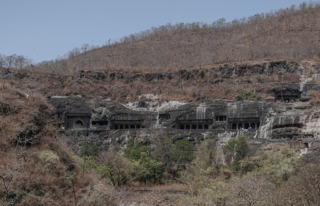 pexels photo 31928523.jpeg